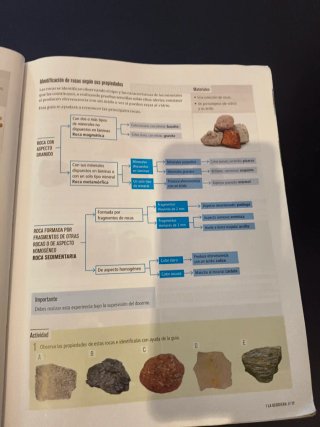 Biología Y Geología 1 Secundaria