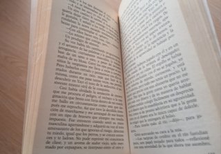 La mirada del otro