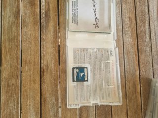 Nintendo DS Nintendogs Chihuahua & Friends