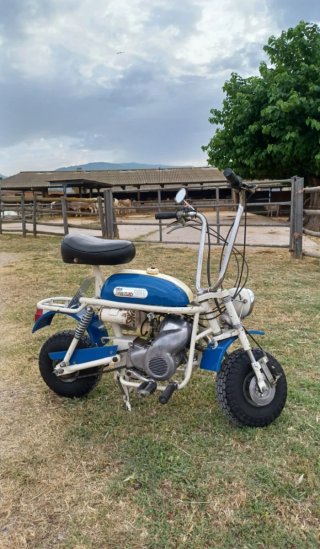 Ducati Minimarcelino Super