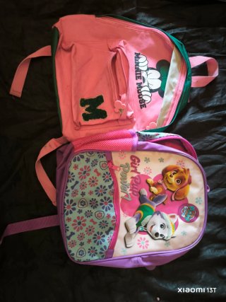 Mochilas infantiles Minnie Mouse y Paw Patrol