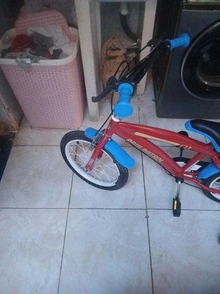 Bicicleta infantil con ruedines
