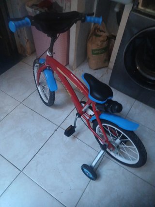 Bicicleta infantil con ruedines