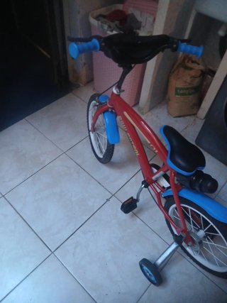 Bicicleta infantil con ruedines