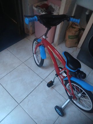 Bicicleta infantil con ruedines
