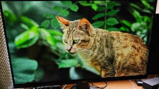 Monitor Gaming MSI