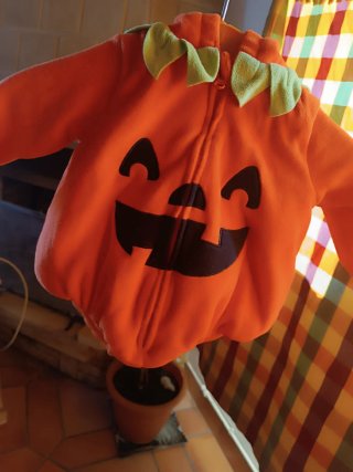 Disfraz Calabaza Bebé