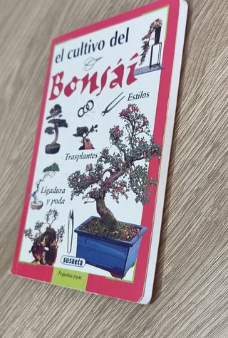 El bonsai