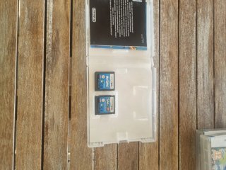 The Sims 2 Pets Nintendo DS