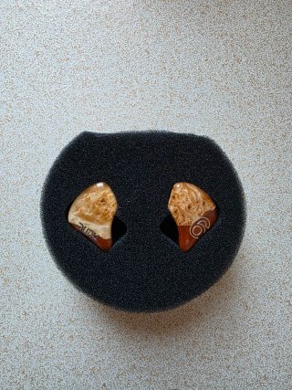 DUNU SA6 MK2 IEM