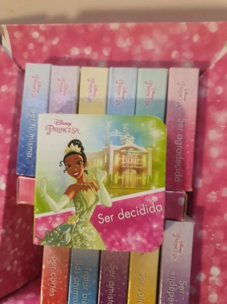 Libros princesas Disney