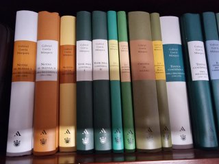 Coleccion libros Gabriel Garcia Marquez.