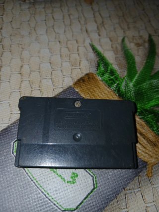 Dragon Ball Z: Taiketsu GBA R