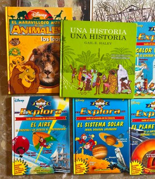 Lote de 14 libros