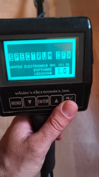 Detector de metales White's DFX
