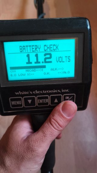 Detector de metales White's DFX