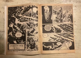 TERROR GRÁFICO Nº 1 – ESTEBAN MAROTO – HISTORIAS D