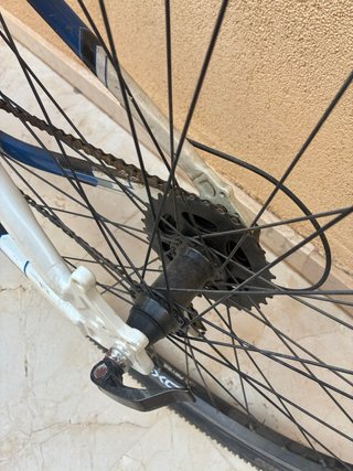 Bicicleta Mondraker Concept