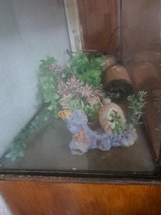 Acuario para peces
