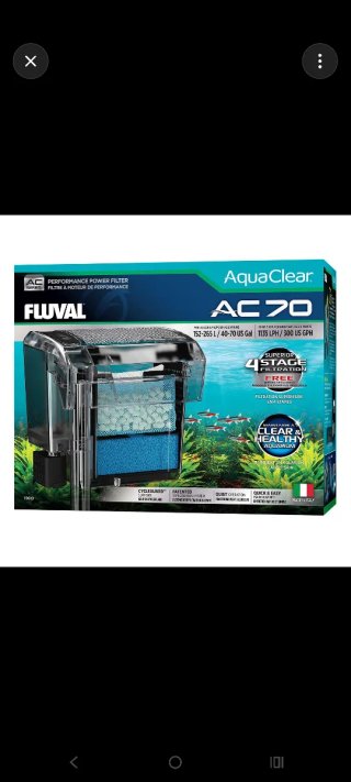Acuario grande con plantas y más