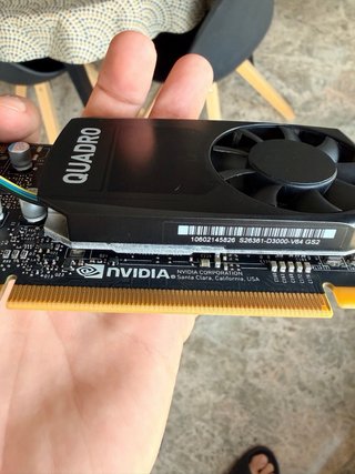 NVIDIA Quadro P600 2GB GDDR5 Testeada con FurMark