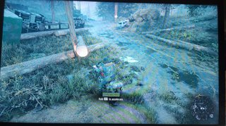 Days Gone. PS4/PS5. Disco Perfecto. Only English.