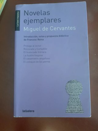 Novelas ejemplares