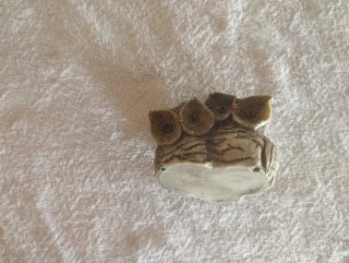 Figura decorativa de dos búhos