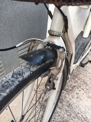 Bicicleta paseo con sillita para niño