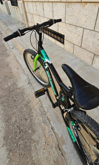 Bicicleta infantil negra y verde