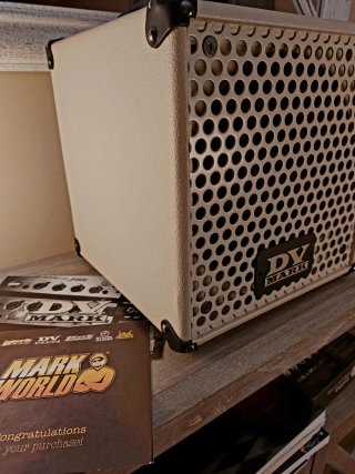 DV Mark Little Jazz. Amplificador Guitarra