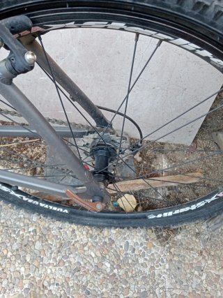 Bicicleta Boomerang Gris