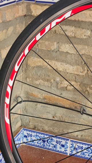 Set di Ruote Fulcrum Racing 7