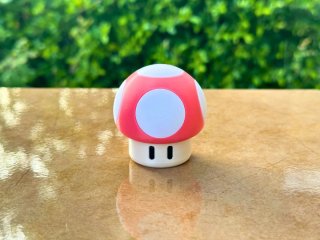 Estuche Juegos Switch 1 y 2