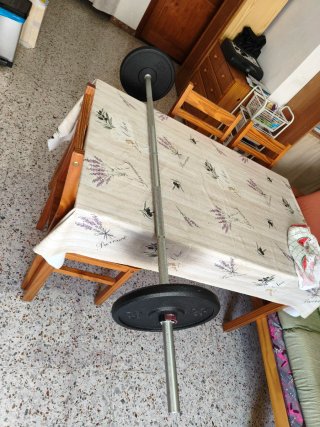 Barra con discos 10 kg