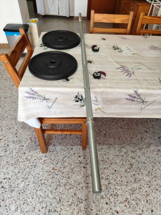 Barra con discos 10 kg