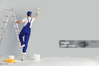 pintor decorador , pintamos tu casa, parcela .