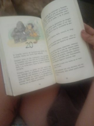 Libro de bichos raros