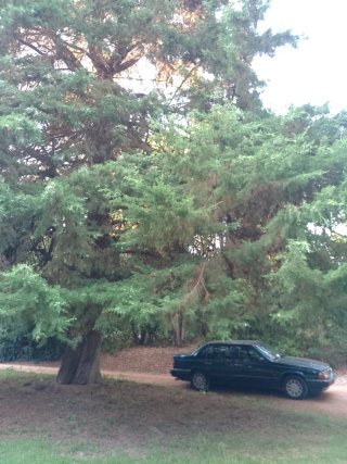 Volvo S90 1997