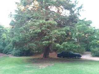 Volvo S90 1997