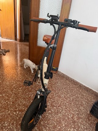 Bicicleta Eléctrica Plegable ESKUTE F200
