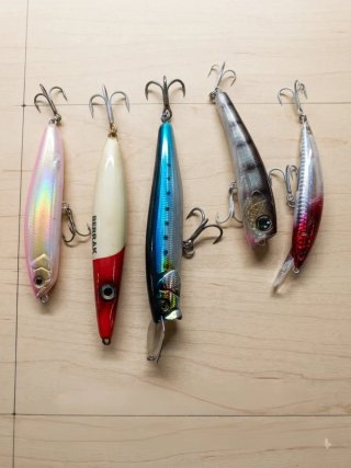 Señuelos de pesca para mar