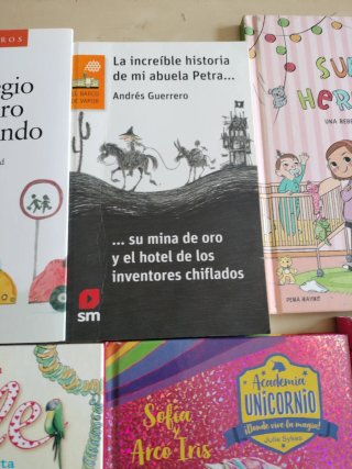 Lote de libros juveniles