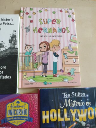 Lote de libros juveniles