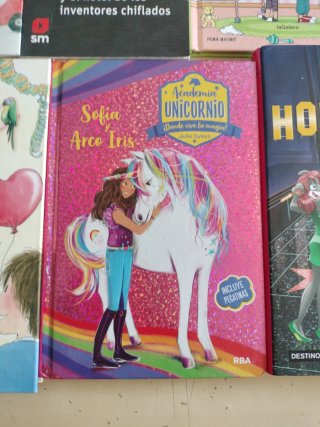Lote de libros juveniles