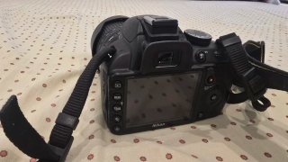 Nikon d3100