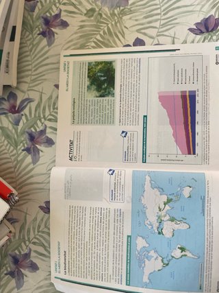 Geografia programa Nellie Bly