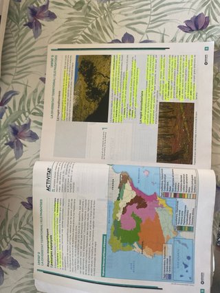 Geografia programa Nellie Bly