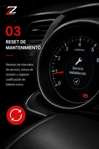 Reset Mantenimiento Coche | Servicio | Batería