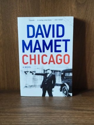 Chicago A Novel